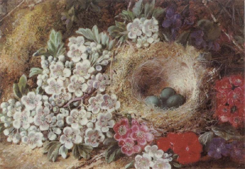 Clare George Bird-s Nest Still Life china oil painting image